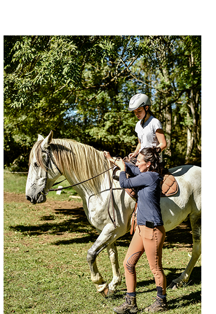 Randonnées promenades équestres et cours d'équitation